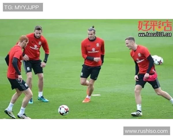 格鲁吉亚与威尔斯比赛前瞻分析及胜负预测详解