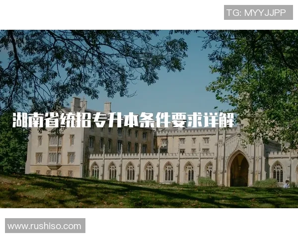 铁路工场与拉普大学的对比分析与发展前景探讨