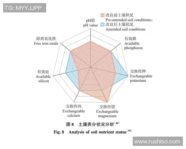 杭州羽毛球队转型之路：成败得失与未来展望分析