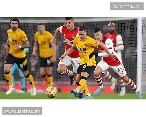 狼队迎战布拉迪斯力争主场胜利展现强大实力 狼队迎战布拉迪斯力争主场胜利展现强大实力