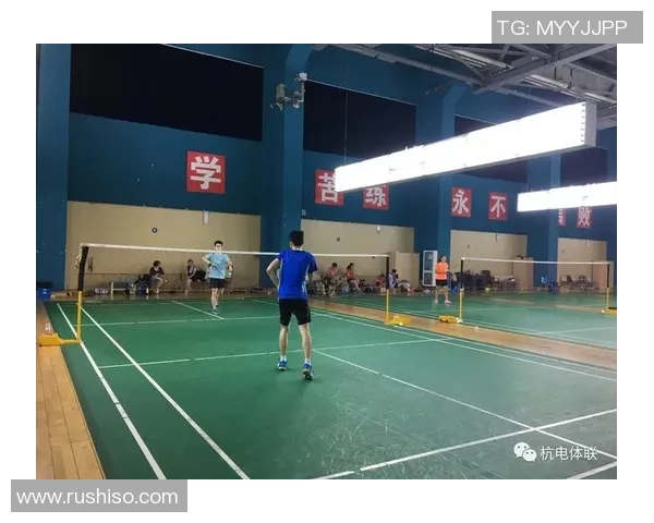 南京羽毛球队的崛起之路欧锦赛背后的奋斗与荣耀