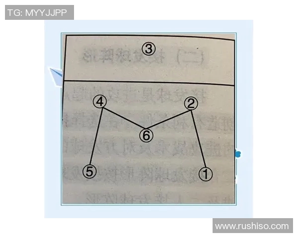 上海排球队的战术分析与运营体系探讨:提升竞技水平的关键因素 上海排球队的战术分析与运营体系探讨:提升竞技水平的关键因素